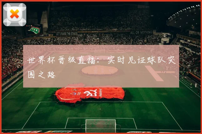 世界杯晋级直播:实时见证球队突围之路